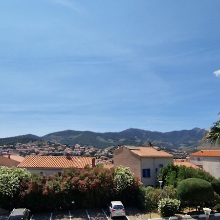 Banyuls-Sur-Mer: T2 Avec Terrasse Couverte Et Parking Privatif - Fr-1-309-146 Ngoại thất bức ảnh